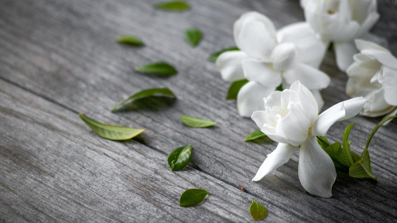 What Does Gardenia Smell Like?